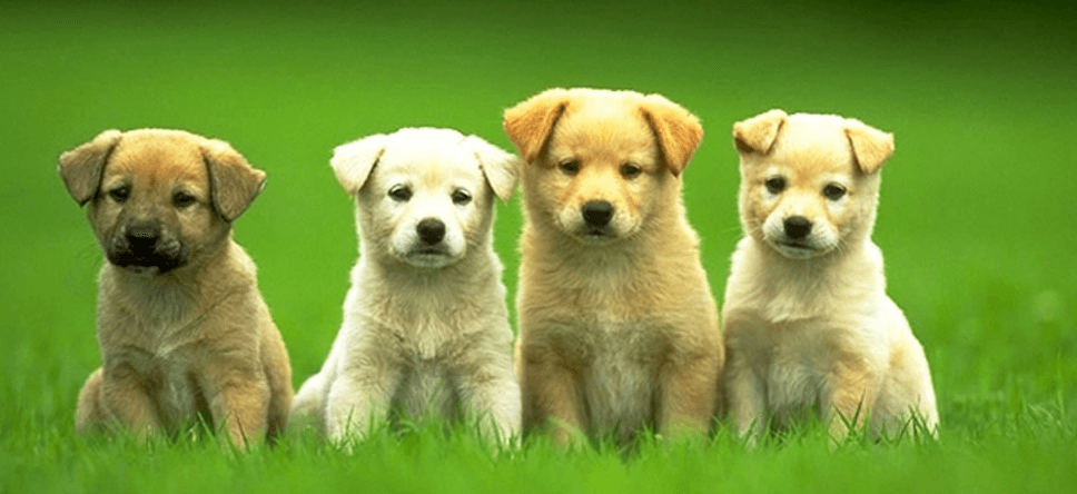 Person reflecting on uncertainty in a relationship connected to partner pull away when things are going well