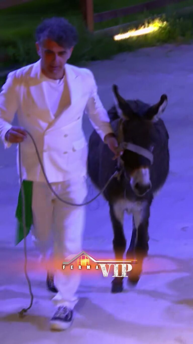 Klodi dhe Gomarët: Festë e Papritur në Ferma VIP Albania