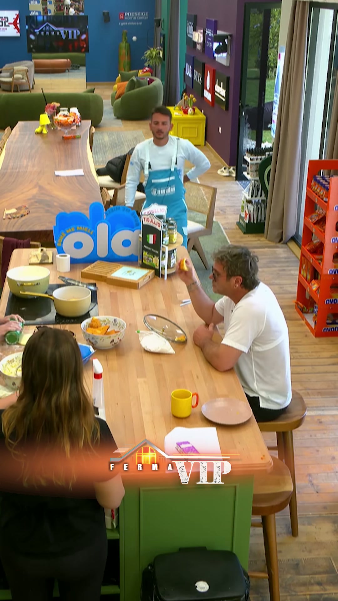 Çfarë ndodhi me Ilirin dhe Ervinin në Ferma VIP Albania