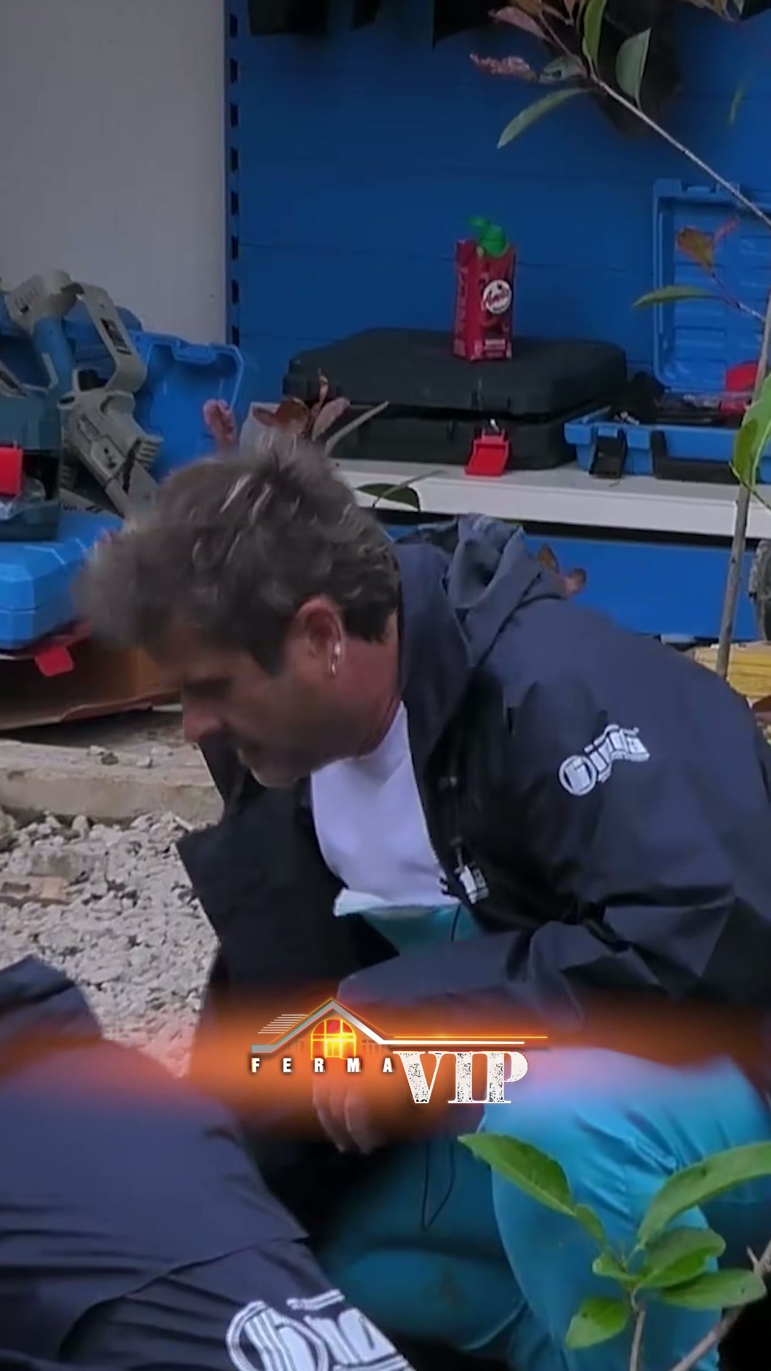 Çfarë ndodhi me auto shkolla iliri?