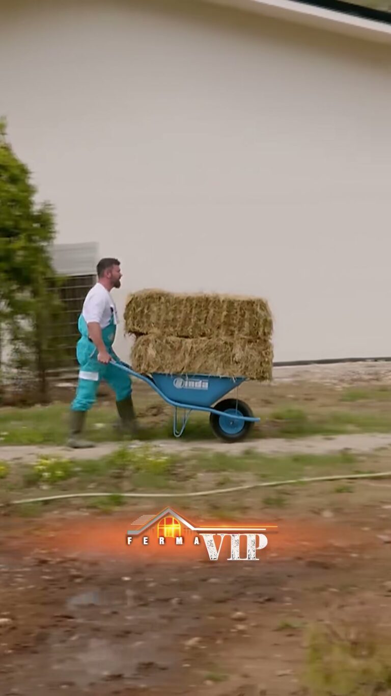Nga Balerin në Kryefermer: Iliri Ndryshon Dinamikën në Ferma VIP Albania