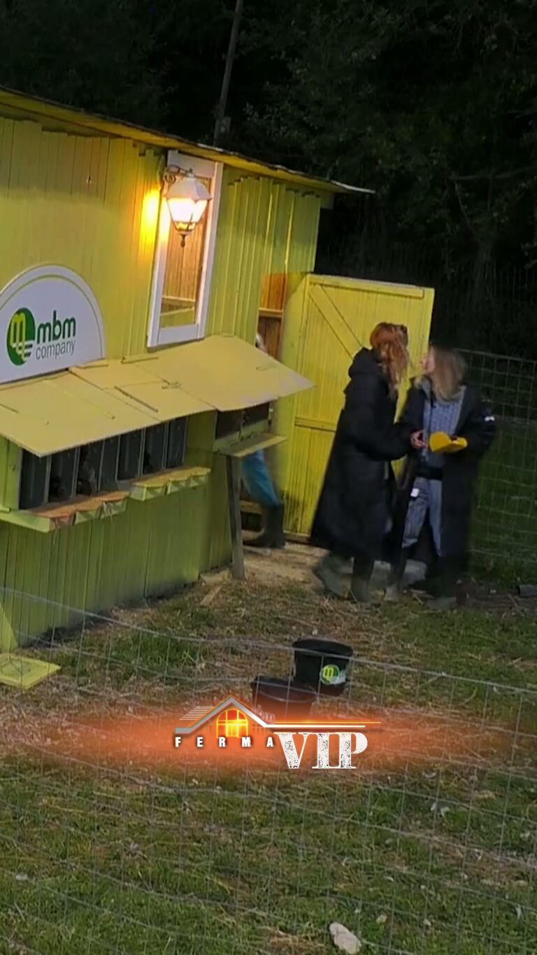 Adioni dhe Mimoza: Drama në Ferma VIP Albania