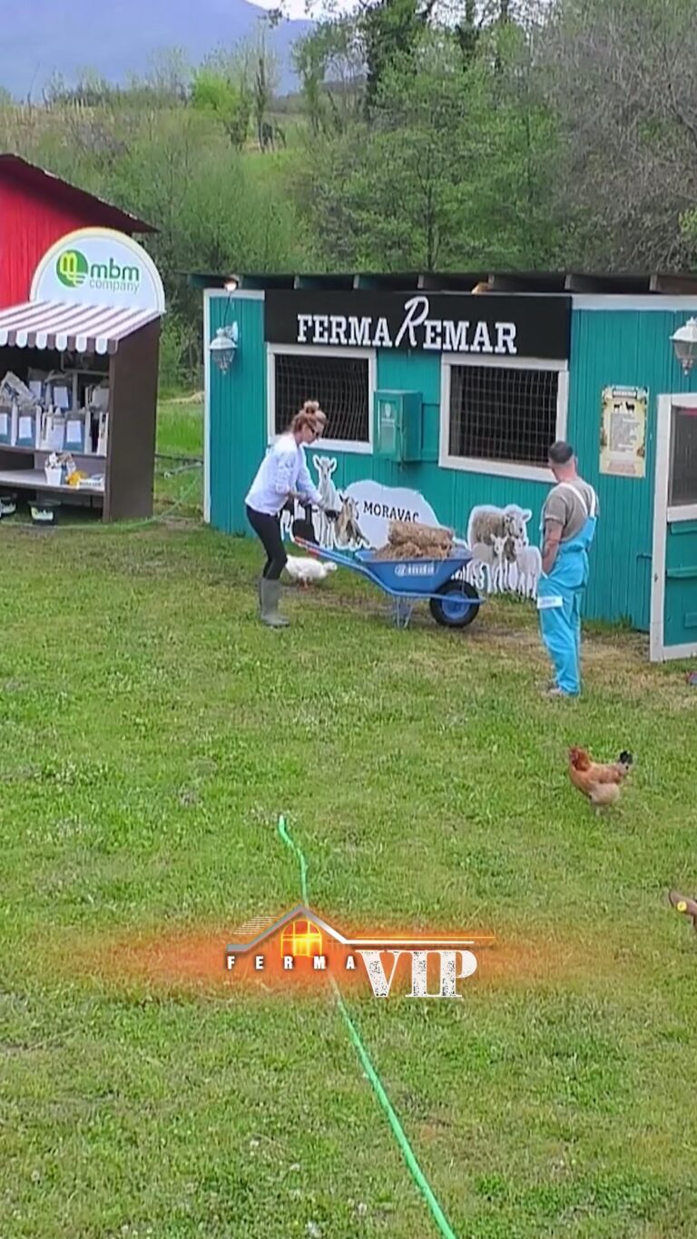 Ferma VIP Albania: Si Fillojnë Fermerët Punët e Tyre në Brendësi