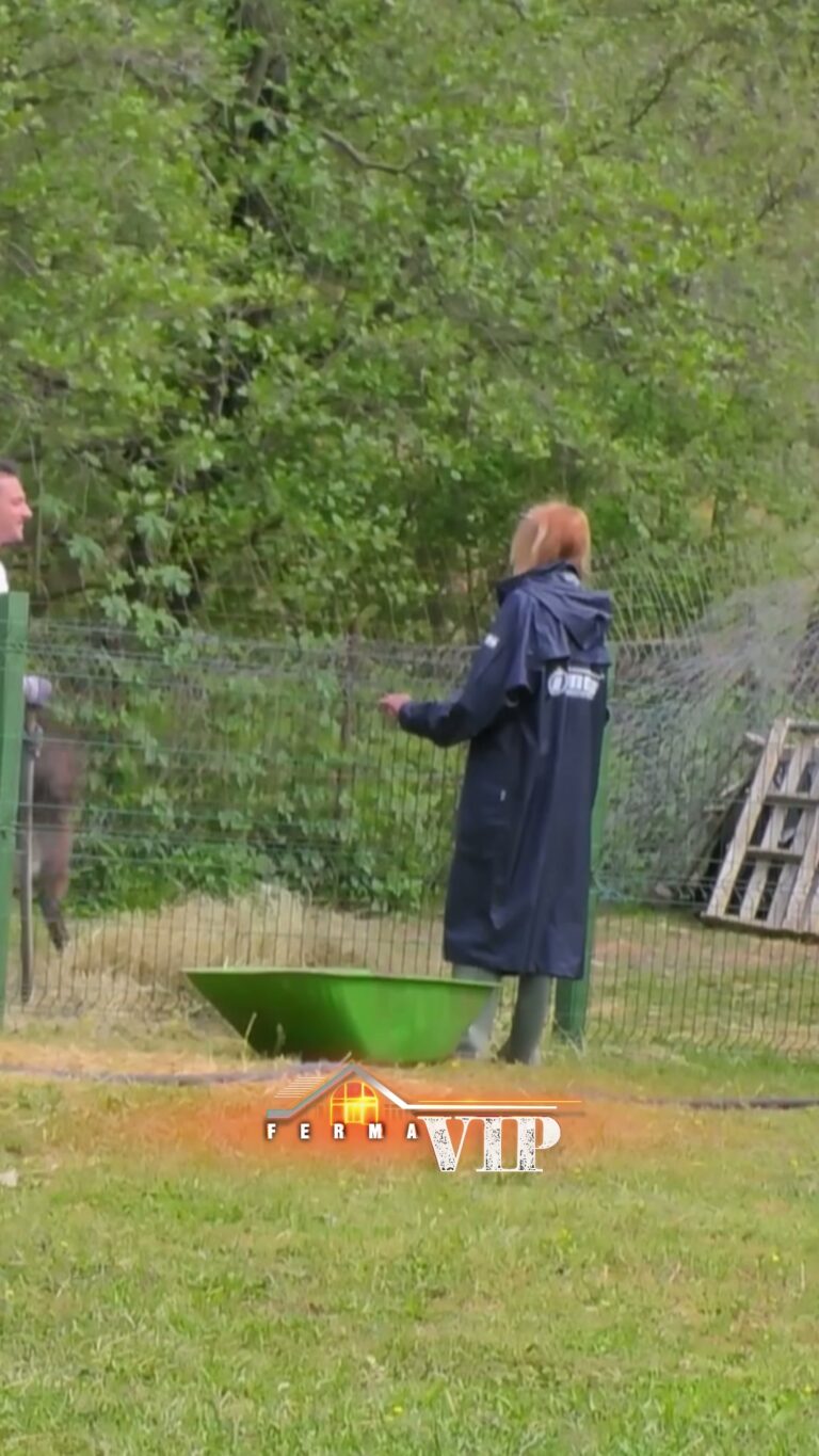 Dashuria: Ajo që e provon çdo burrë, por gjenden femrat që s'e provojnë