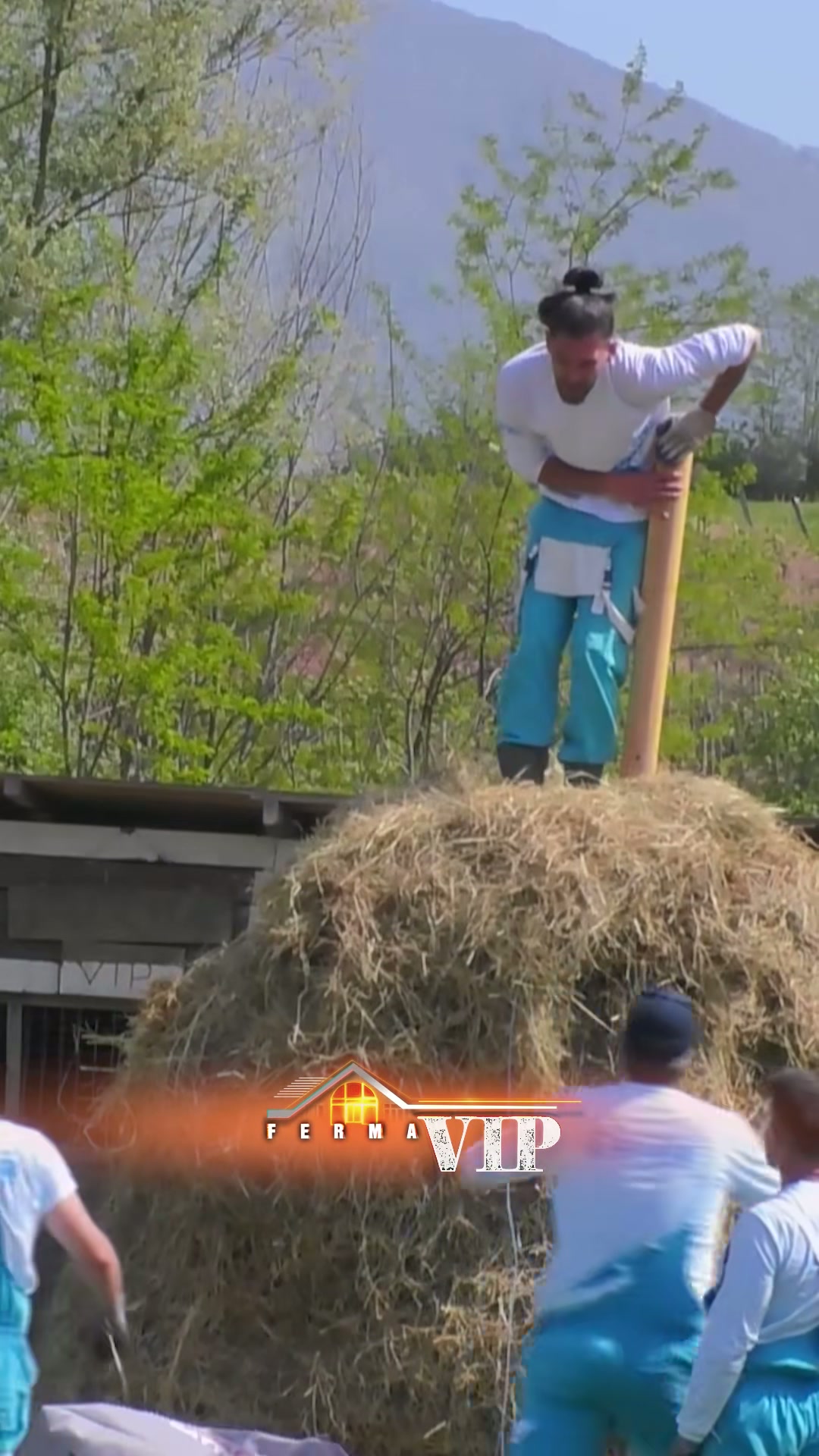 Suksesi i Grupit të Adionit në Ndërtimin e Ferma VIP Albania - screenshot 1