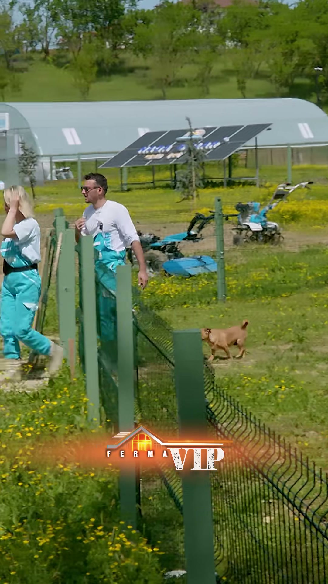 Sfidat e Ferma VIP Albania: Iliri, Malbora dhe Ervini në Qendër të Vëmendjes - screenshot 1