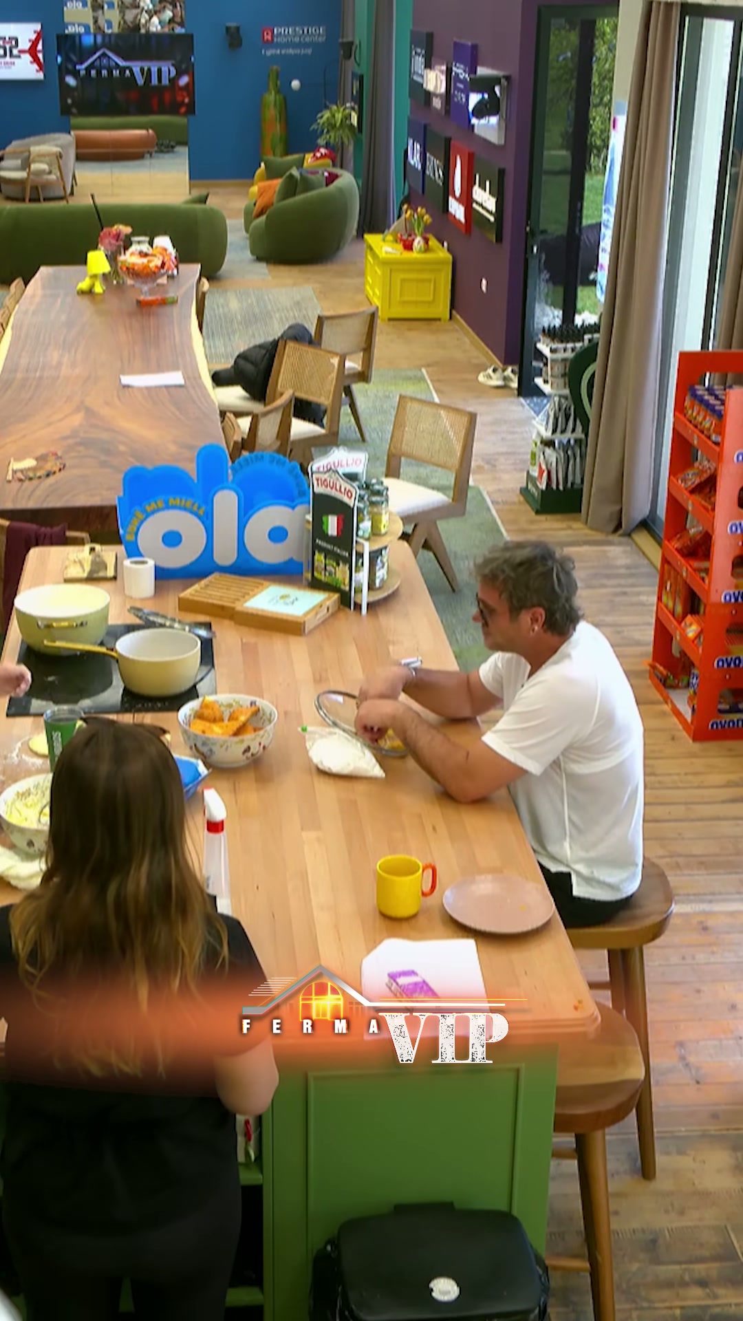 Çfarë ndodhi me Ilirin dhe Ervinin në Ferma VIP Albania - screenshot 1