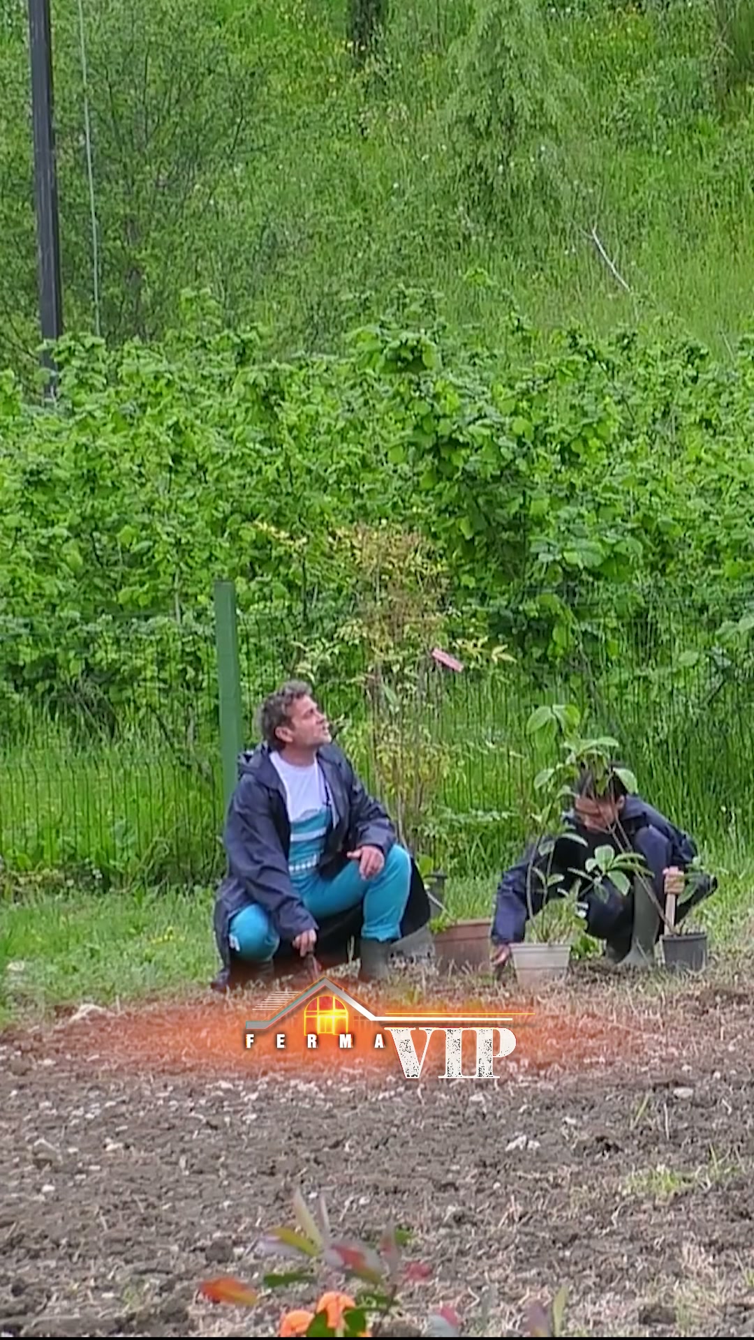 Çfarë ndodhi me auto shkolla iliri? - screenshot 1