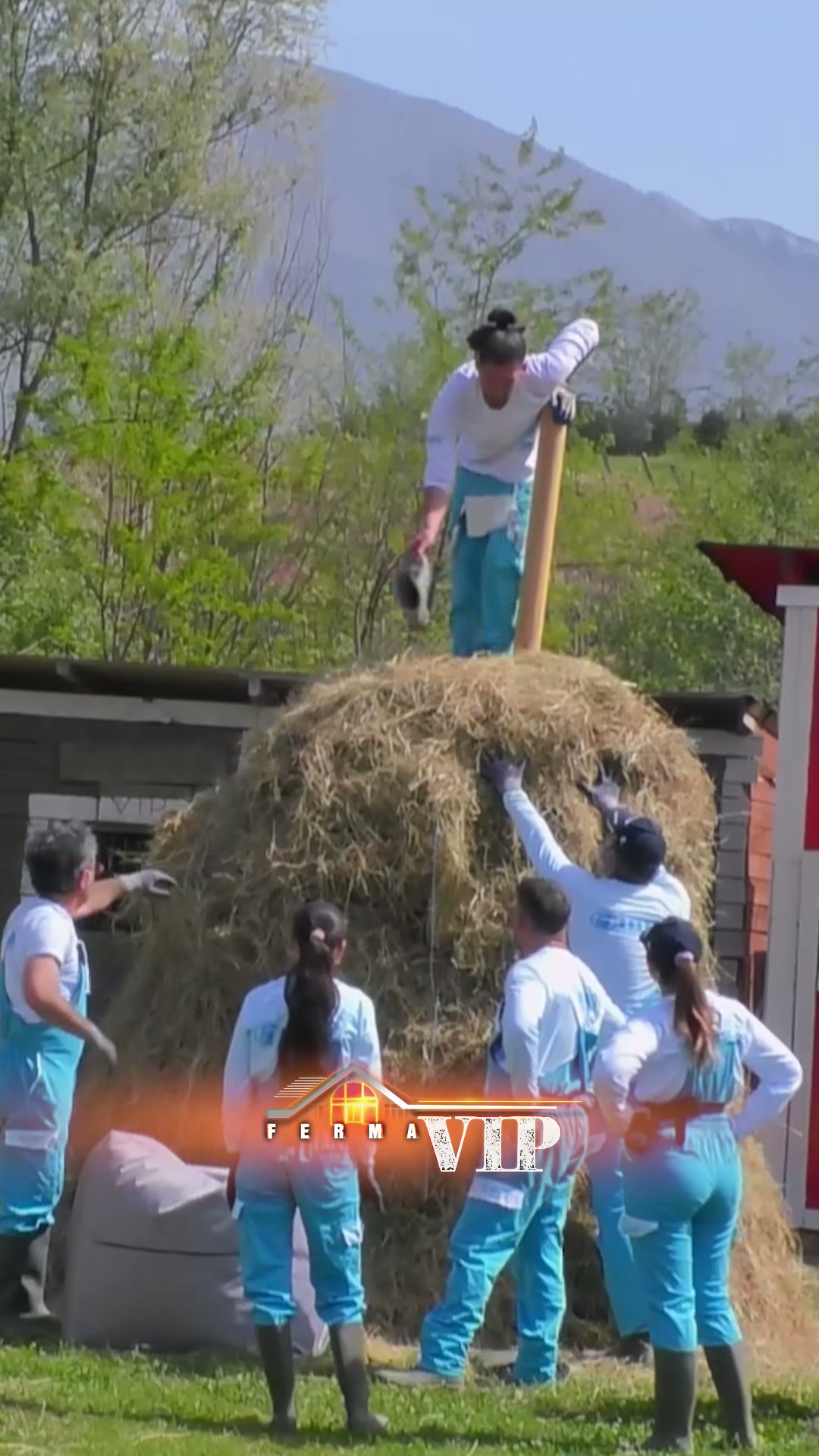 Suksesi i Grupit të Adionit në Ndërtimin e Ferma VIP Albania - screenshot 2