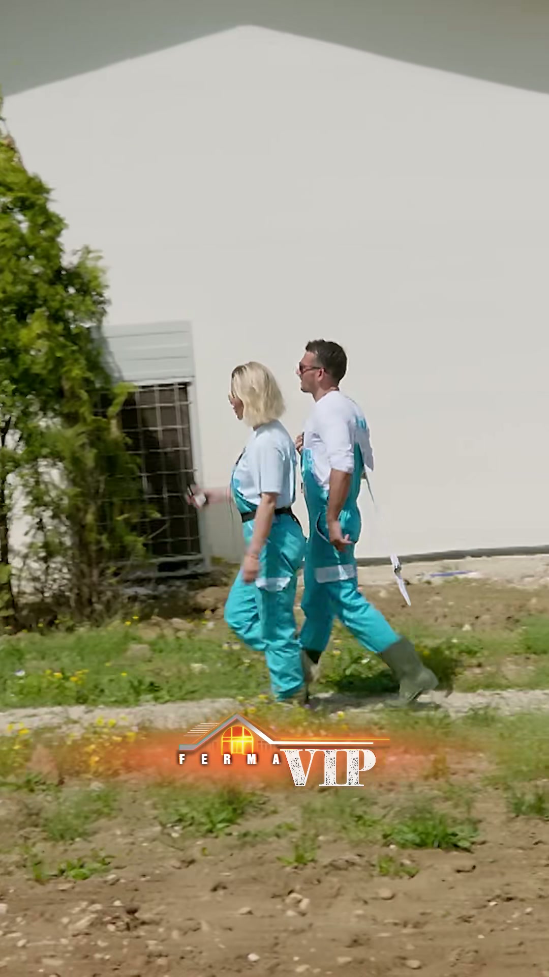 Sfidat e Ferma VIP Albania: Iliri, Malbora dhe Ervini në Qendër të Vëmendjes - screenshot 2