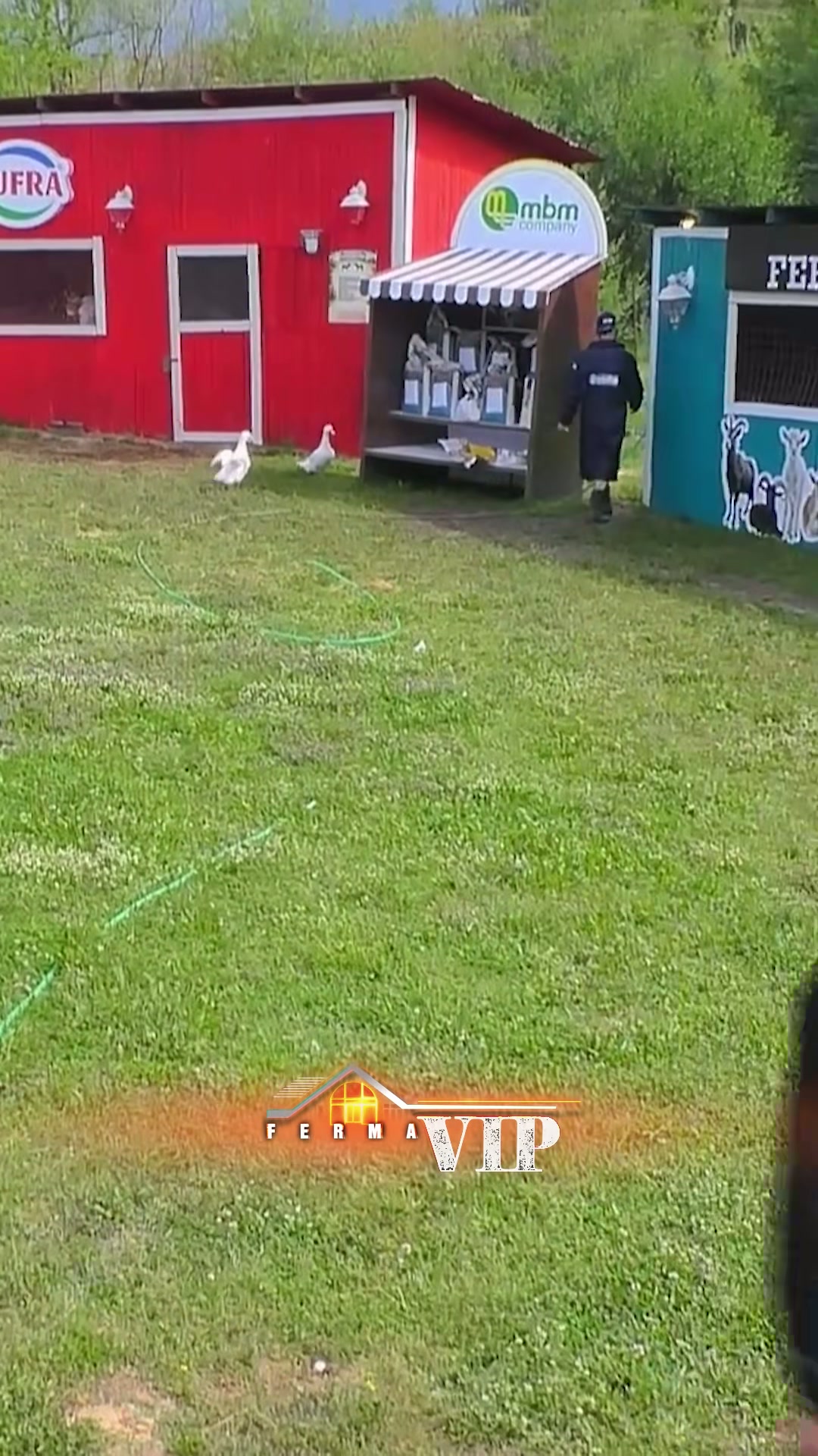 Çfarë ndodhi me Ferma VIP Albania? - screenshot 2