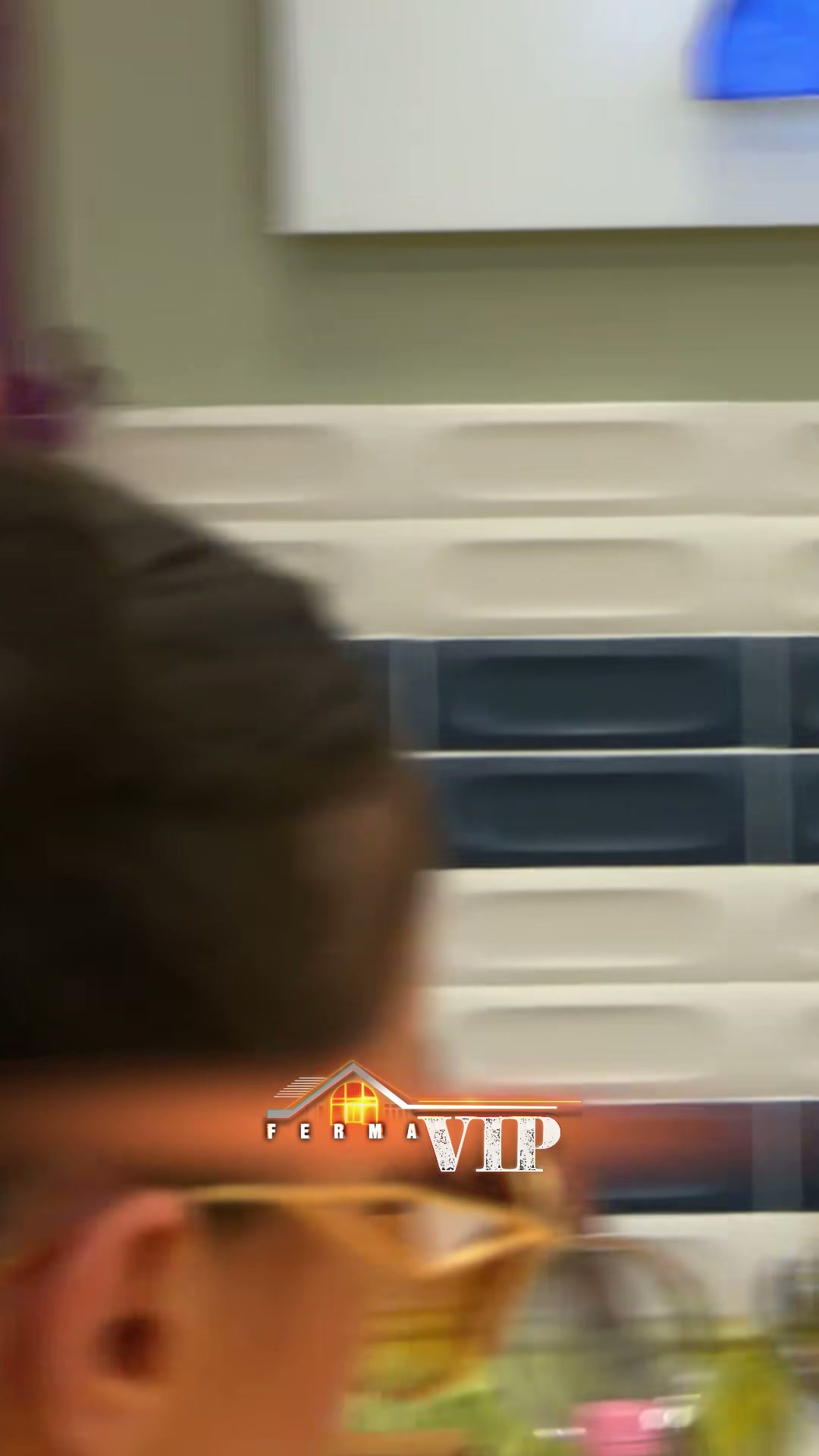 Çfarë ndodhi me moza ferma vip? - screenshot 2