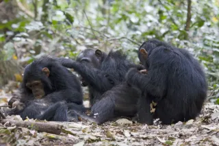 Group of friends engaging in conversation, highlighting social dynamics and gossip behavior.