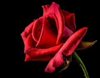 Person reflecting on uncertainty in a relationship connected to i struggle to express my feelings in a relationship