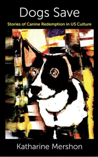 Person reflecting on uncertainty in a relationship connected to i feel a stronger connection to my dog than