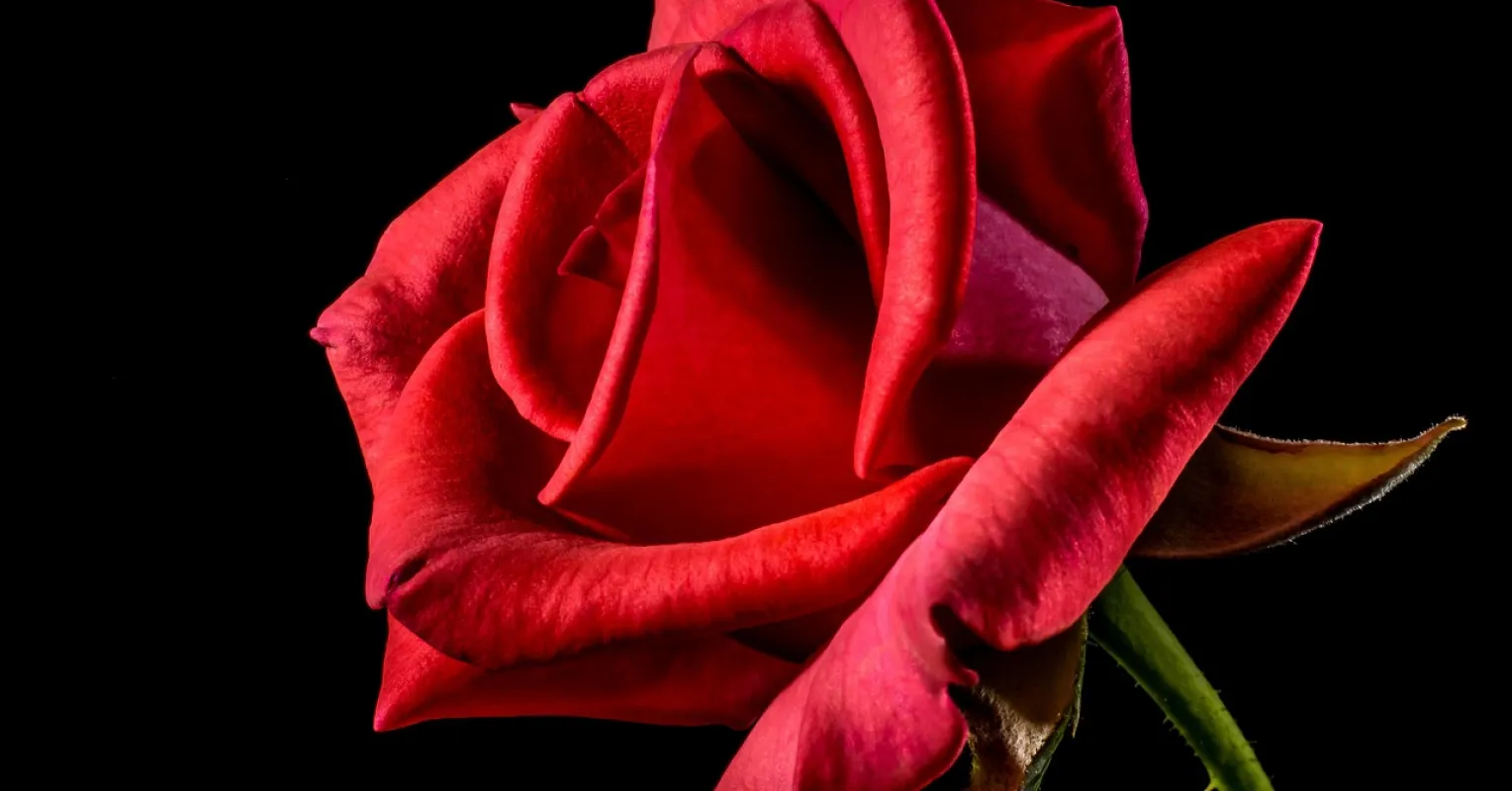 Individual pondering difficulties in openly sharing feelings within a relationship
