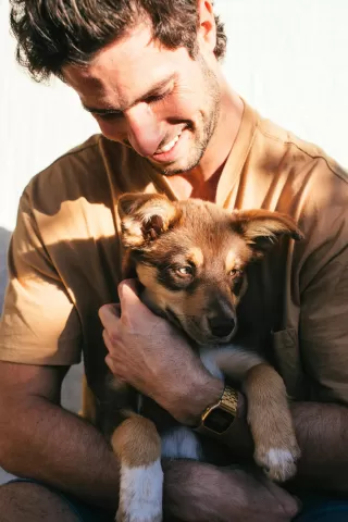 Person analyzing a dating profile with pet photos, focusing on potential red flags in relationships