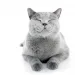 Person reflecting on emotional behavior and meaning connected to i feel more empathetic after spending time with my