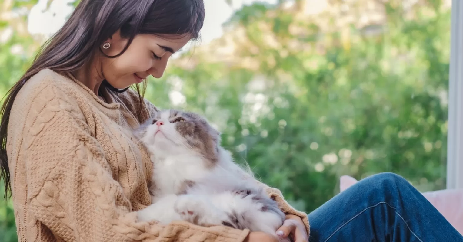 Person reflecting on emotional behavior and meaning connected to what are the signs that my pet can sense