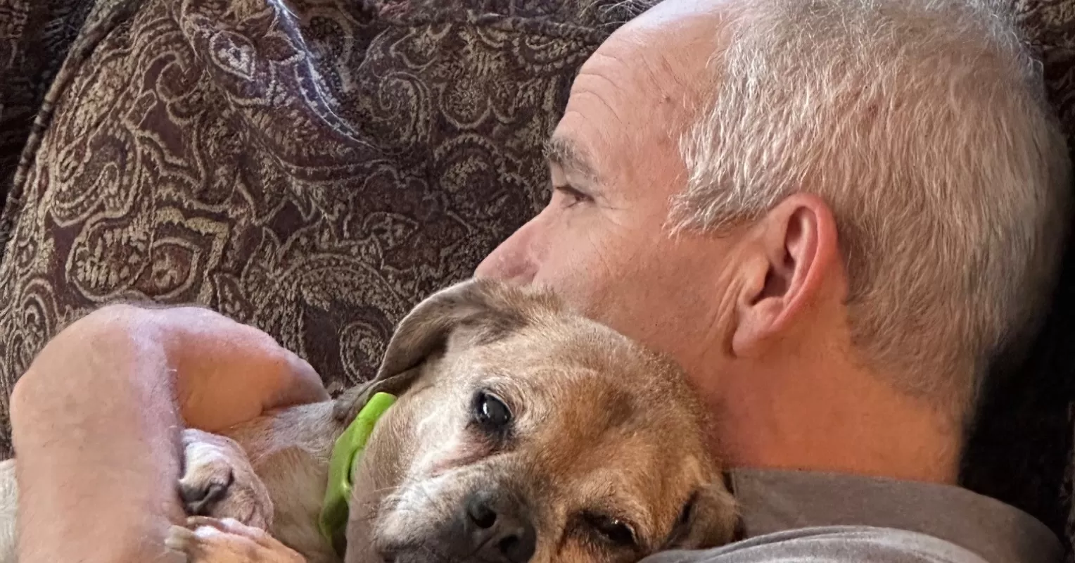 A person finds comfort with a dog, showcasing how dogs help people with depression.