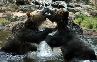 Couple looking exhausted after a heated discussion, reflecting on emotional turmoil