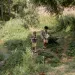 Individual contemplating emotional connections with strangers versus friends in a social setting