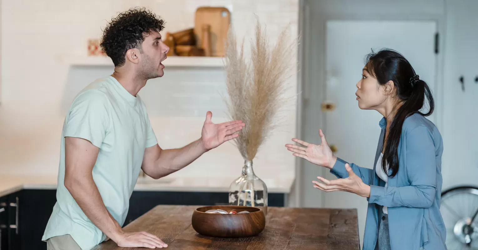Family gathering where differing political views create tension and emotional reactions