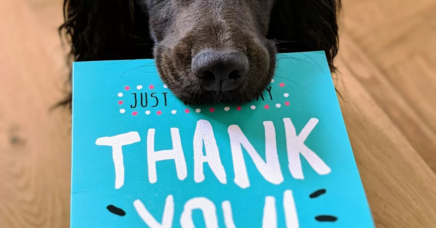 Happy individuals sharing moments of gratitude and joy, highlighting the impact of gratitude on mental health