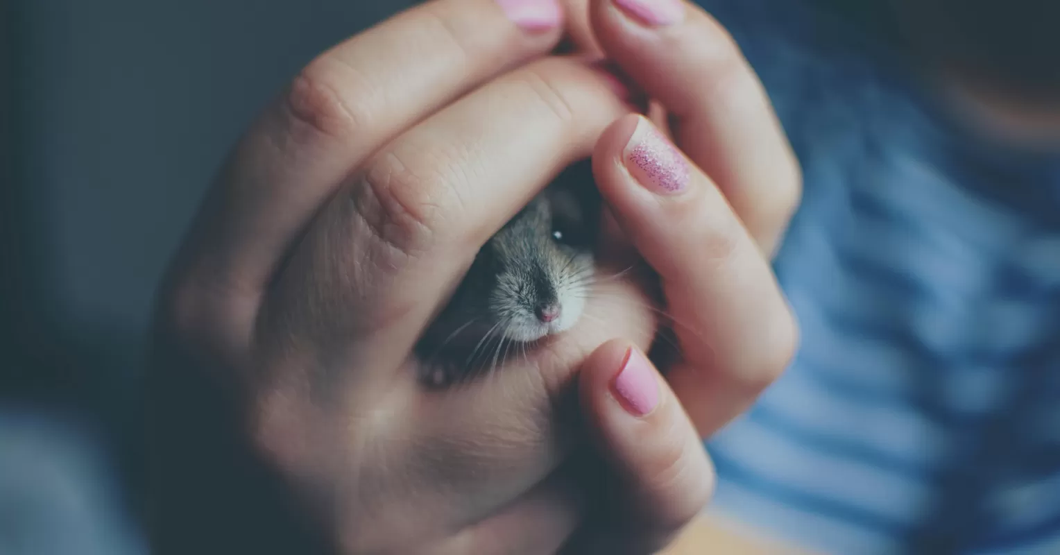 Couple sharing a tender moment while one partner looks pensive about their feelings