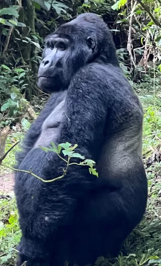 Person reflecting on emotional behavior and meaning connected to someone feels entitled