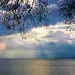 Person reflecting on emotional behavior and meaning connected to how to stop comparing myself to others