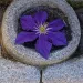 Individual practicing mindfulness to overcome comparisons with others in social dynamics