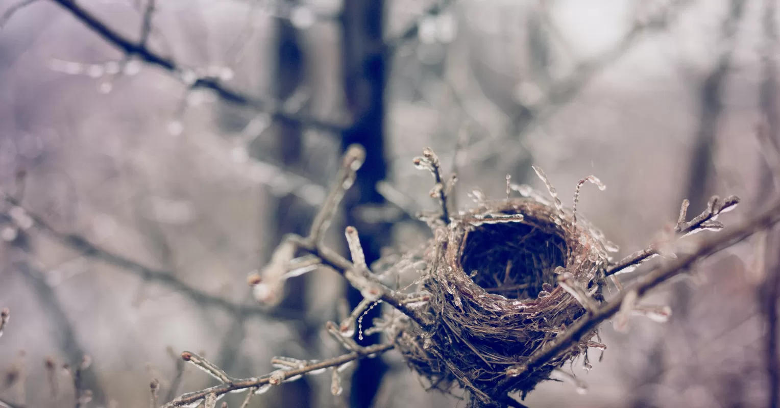Couple sharing a moment of reflection on emotions during empty nest syndrome