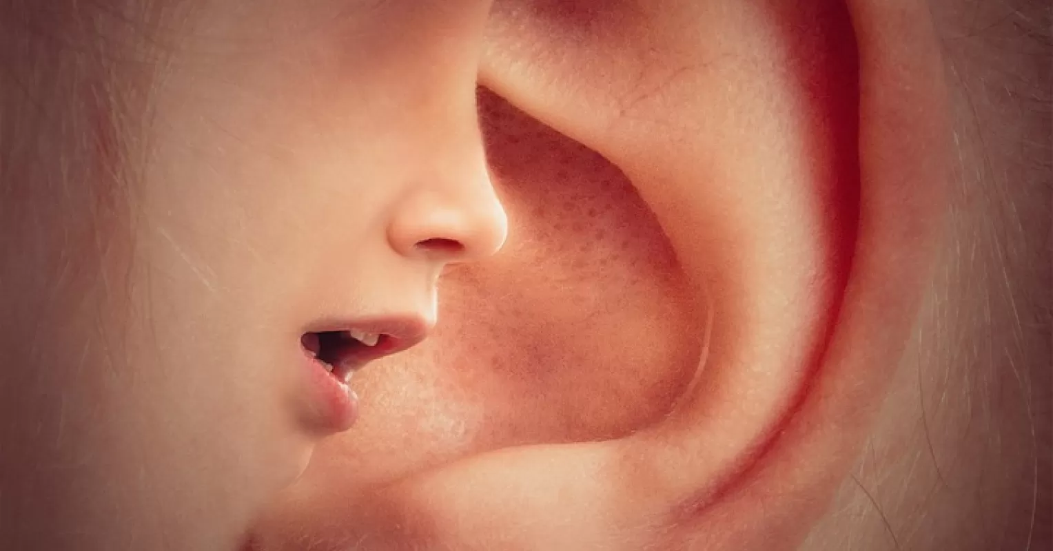 A person observing body language cues to determine if someone is trustworthy