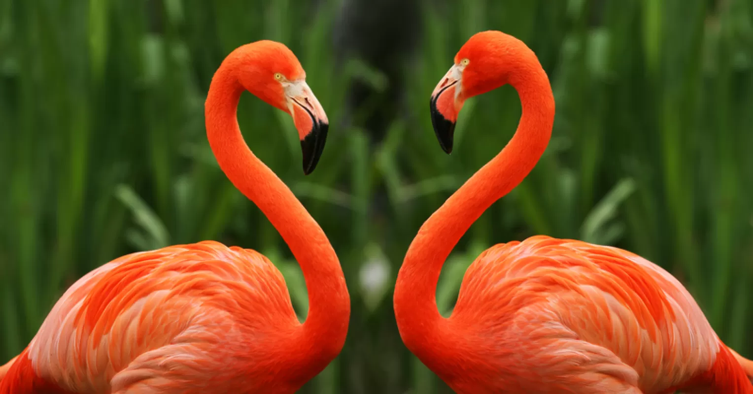 Couple sitting together, discussing relationship signals about intimacy and communication