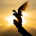 Person reflecting on emotional behavior and meaning connected to someone is being honest