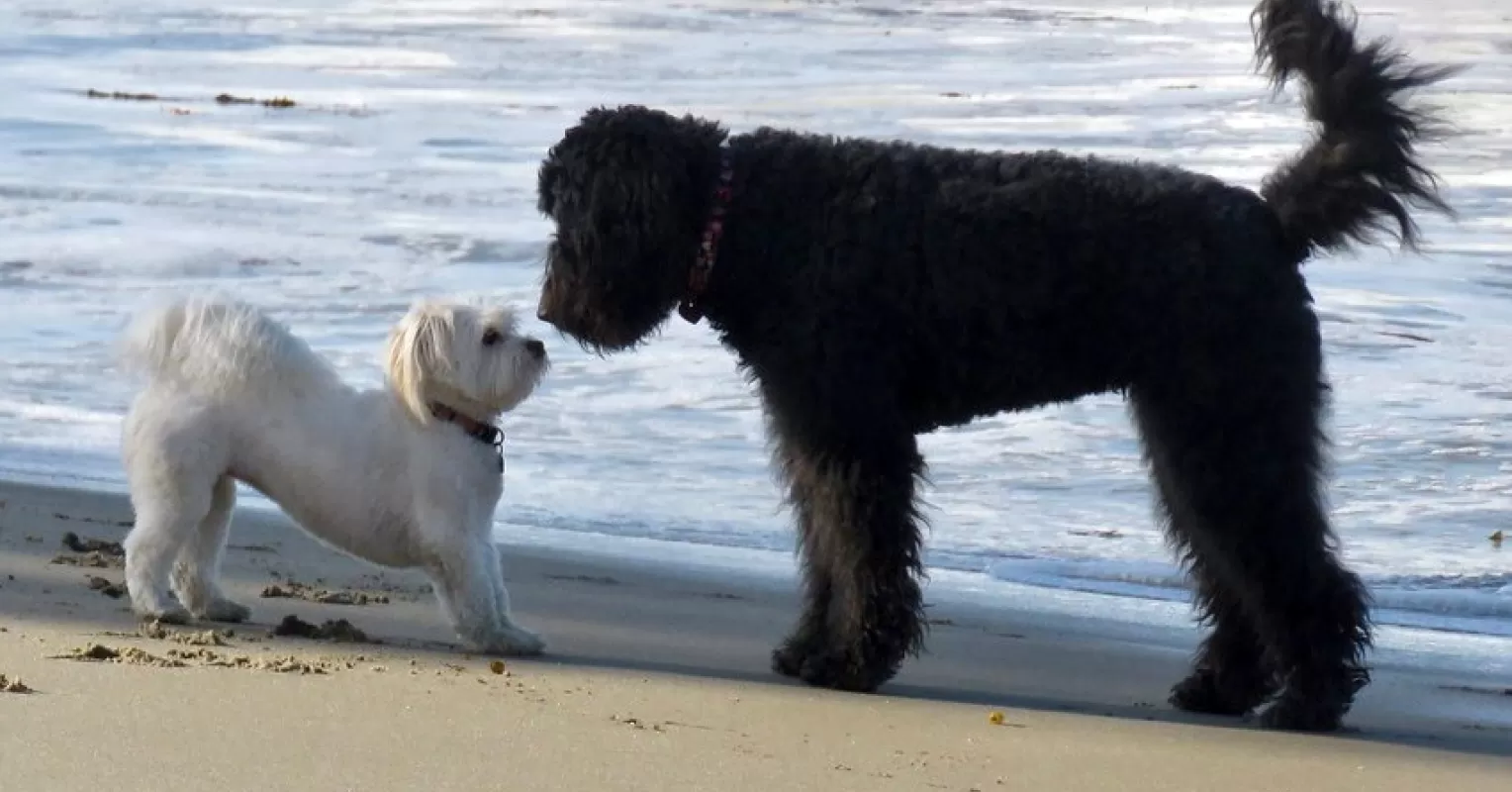 Person reflecting on emotional behavior and meaning connected to what does it mean to click with someone